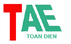 logo Toan Dien TAE